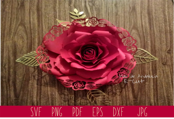 Middle Rose Template: A Practical Tool for Real-World Clarity and Connection