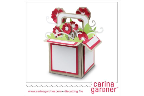 Red Flower Explosion Box: A Thoughtful Look at Its Role and Fit