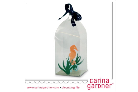 Seahorse in a Bottle: More Than a Curiosity—A Symbol with Substance