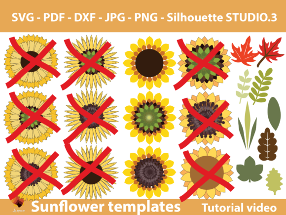 Single Sunflower Template: A Focused Framework for Clarity and Execution