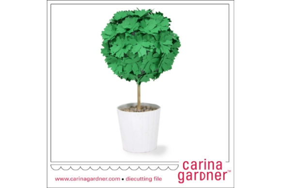 Succulent Short Topiary: Living Sculptures for Small Spaces and Busy Lives